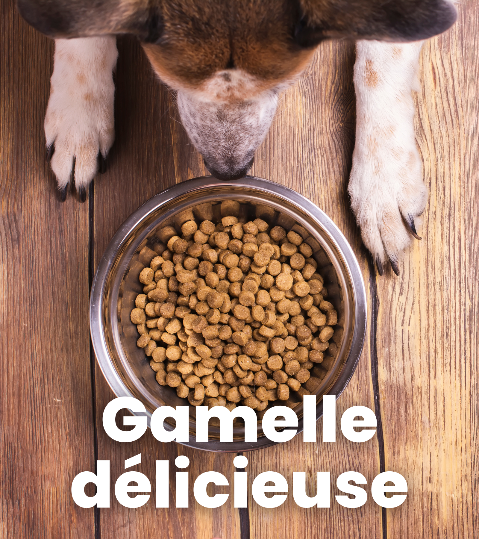 ope fev créa gamelle